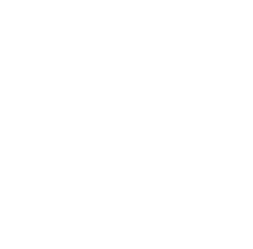 SECRET MEDICINE